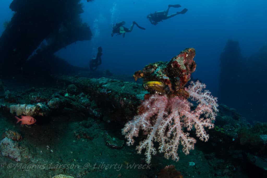 USAT Liberty wreck