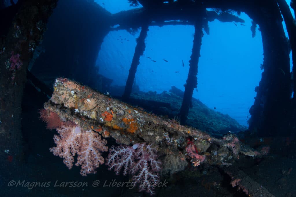 USAT Liberty Wreck