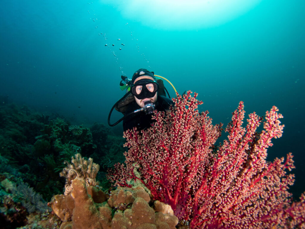 scuba diving myths