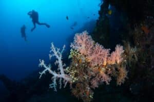 USAT Liberty wreck
